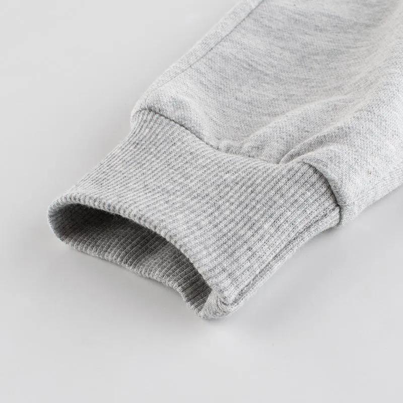 Gray Dinosaur Print Pants for Toddler Boys