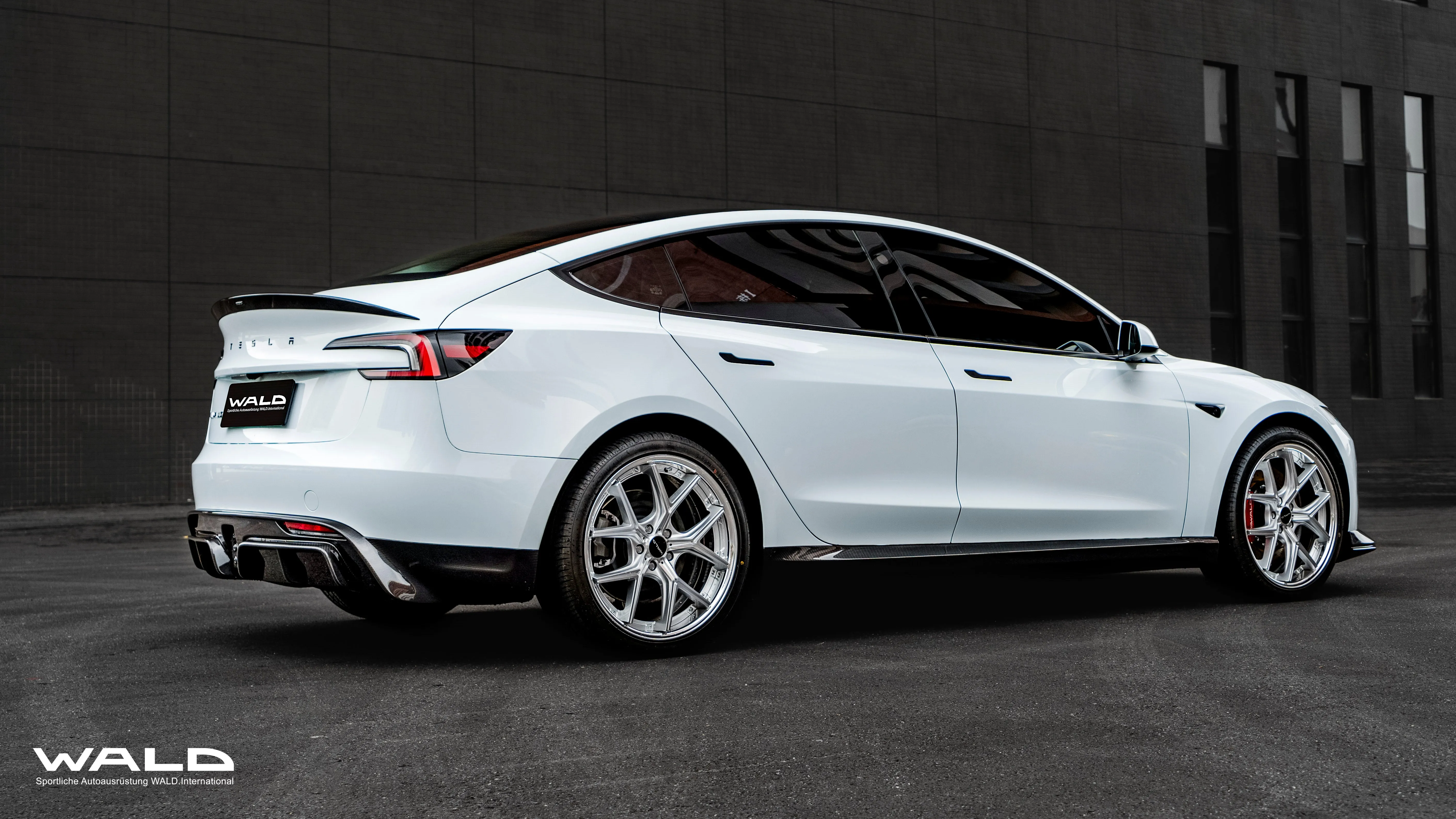 WALD Dry Carbon Fiber Side Skirts for Tesla Model 3 Highland 2023 