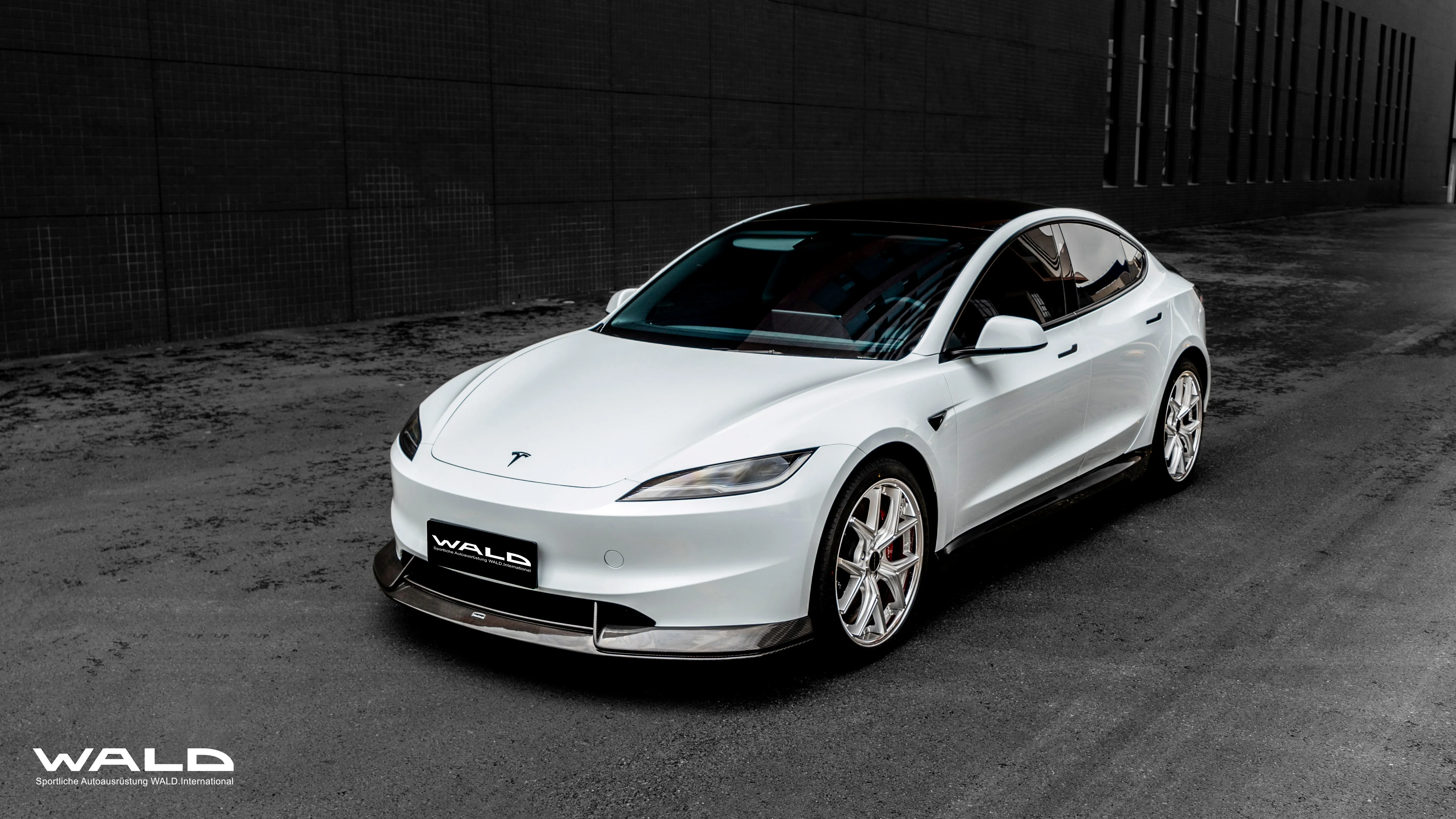 WALD Dry Carbon Fiber Side Skirts for Tesla Model 3 Highland 2023 